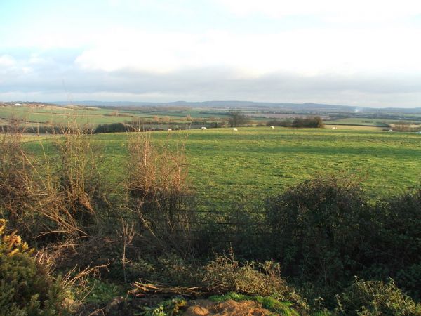 Michael Anthony Tring - WINGRAVE - Photo 5